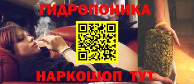 PSILOCYBIN Заволжье