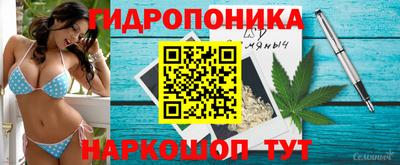 гидропоника Жуковский