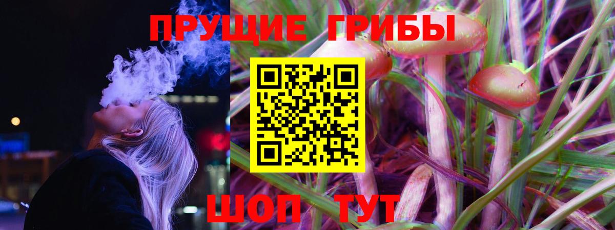 Галлюциногенные грибы Psilocybine cubensis Лиски